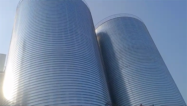 磐安2座混凝土高架卷板仓